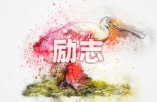 人生励志的句子发朋友圈 今日励志适合发朋友圈正能量短句