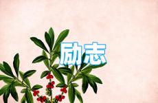 励志正能量的一段话 今日每天分享一段正能量一段话怎么写