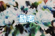 正能量的美句 今天积极励志正能量的句子
