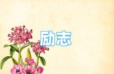 每天励志正能量短语 今日有关正能量的句子