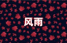 经历过风雨励志的正能量句子 风雨励志句子经典语录