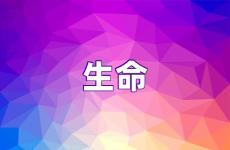 感悟生命的经典句子 关于生命的唯美句子
