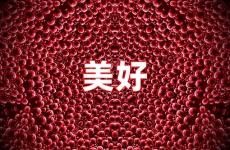 美好正能量的句子经典语句 美好的正能量句子
