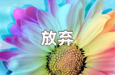 坚持不放弃唯美的句子 坚持不放弃的正能量句子