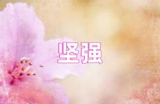 正能量坚强的句子经典语句 今天简短坚强励志正能量的句子