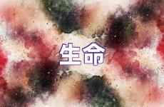 生命励志语录经典短句 生命正能量句子励志短句子