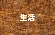 生活积极向上的句子简短 生活积极向上的正能量句子