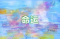 命运的正能量句子 有关命运的好句