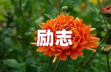 关于拥抱的正能量句子 今天关于拥抱的励志句子