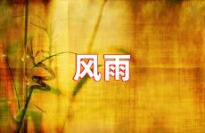 风雨中努力前行的句子 关于风雨的励志短句