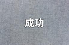 成功励志语录句子 成功励志语录正能量