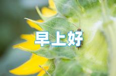 早安励志正能量简单一句话 每日早安一句话正能量