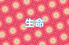生命励志说说心情短语 生命的说说心情短语