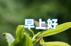 充满正能量的早安短句 早安积极正能量句子