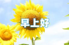 每天早上一句正能量的话 早上好正能量简单一句话