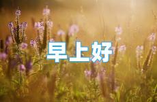 早安励志心语正能量2023 早安正能量短句2023