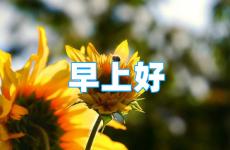 早安简短一句话正能量句子 早安正能量的一句话