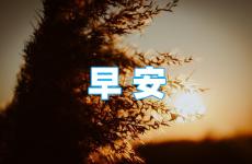 早上唯美正能量的句子 早上好正能量的励志句子