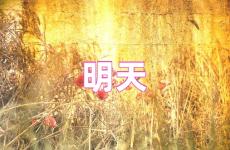 关于美好明天的正能量句子 励志明天会更好的句子