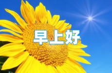 早上鼓励激励的正能量的话 早晨激励自己的一句话