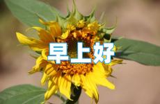 早上微信正能量的句子 适合早安正能量的句子