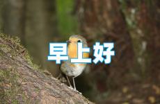 早安心语每日一句正能量短句 每日早晨激励语