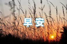 充满正能量的早安句子简短 早安积极正能量短句