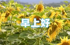 早安心语正能量精辟语句 励志早安心语正能量简短