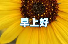 早安分享正能量的话 早安正能量一段话