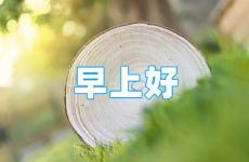 每天一句早安励志语录 早安正能量励志语录最新