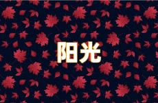 阳光励志干净的句子 阳光励志句子大全唯美