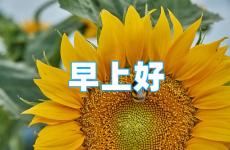 关于早安的句子正能量 早安正能量一句话简短
