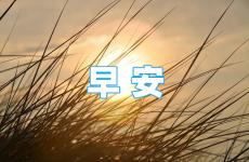 早上有正能量的句子 每一天早上的正能量句子