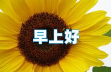 早上激励的正能量的话短句 早安正能量简短的一句话