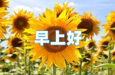 早晨正能量的句子经典短句 早安激励正能量的句子简单