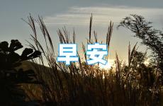 微信早安语录正能量 最新正能量励志早安语