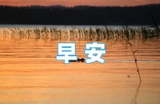 每天早晨励志语录 每日一句早安正能量励志语录