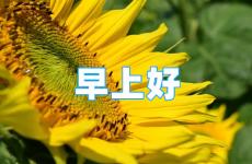 早安最美一句话励志 励志早安最美一句话