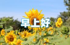适合发朋友圈的早安语正能量 早安正能量简短朋友圈