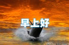 早晨适合发朋友圈正能量短句 早上正能量吸引朋友圈的句子