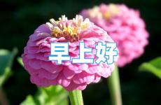 早安励志致自己的说说 早安心语正能量说说