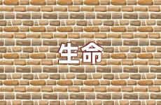 关于生命的励志短句 关于生命的励志语