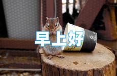 励志早安朋友圈高质量句子 早安励志正能量的句子朋友圈