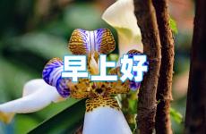 微信早安心语正能量 微信发圈正能量早安语