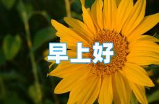 早晨正能量的唯美句子 早上激发正能量的句子
