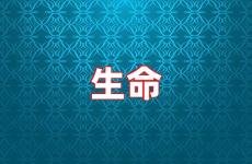 生命励志句子大全 生命励志语录经典句子