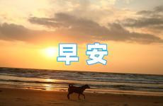朋友圈早安激励语2023简短 早安充满正能量励志语2023