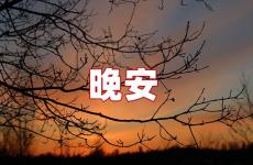 最美晚安心语简单一句 最美晚安心语经典句子
