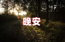 唯美的晚安说说心情短语 夜晚晚安的句子说说心情