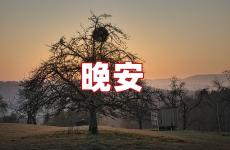 简短晚安心语 简短的晚安句子